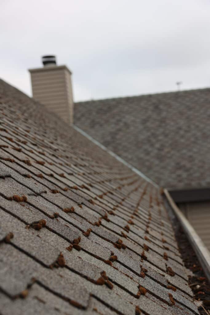 Close-up view of finished roof